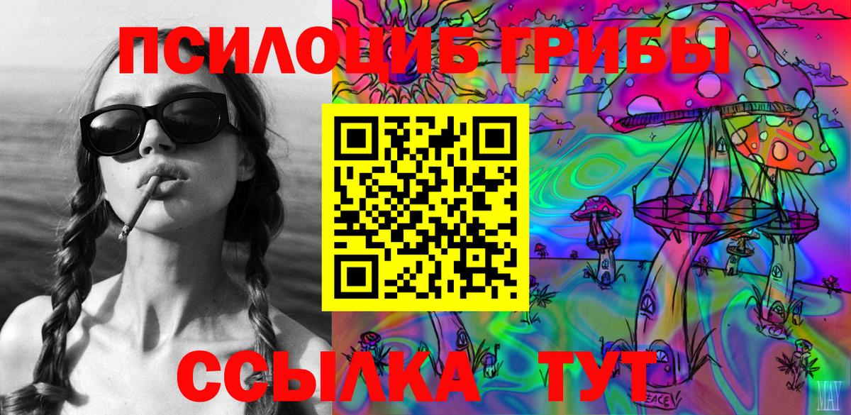 Псилоцибиновые грибы Psilocybine cubensis Волжск