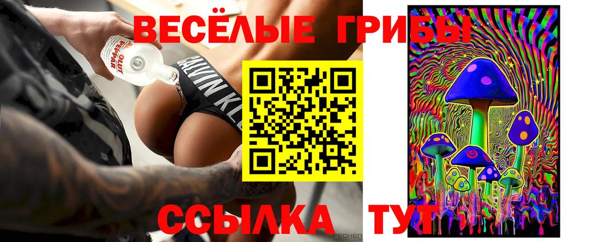 Волжск  купить наркотик  Вход с VPN  Галлюциногенные грибы GOLDEN TEACHER 